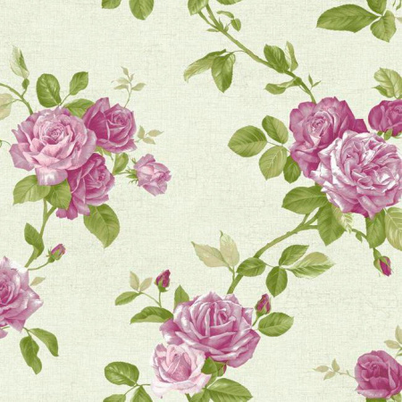 фото York Roses pn0474