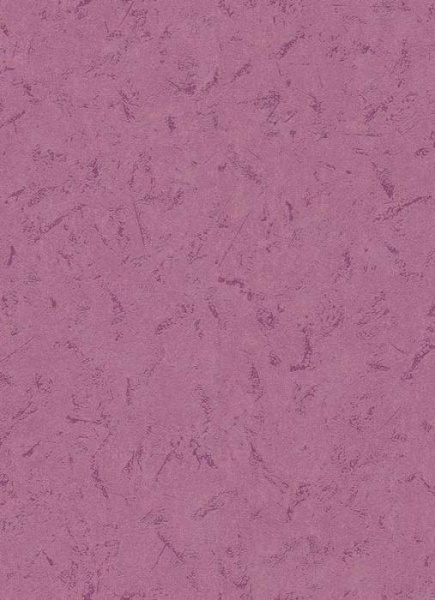 купить Erismann BasiXs 6492-17