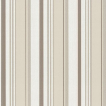 фото P+S International Delight 03883-50