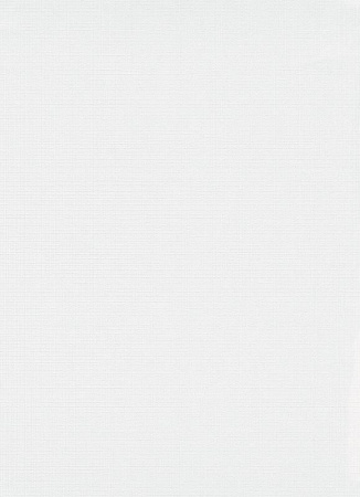 фото Erismann RollOver Expert 3906-01