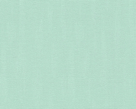 фото A.S.Creation Esprit 13 35710-4