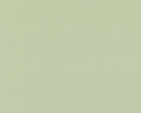 фото A.S.Creation Duetto 854643