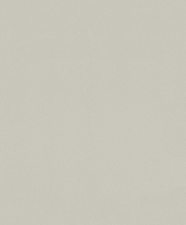 фото Rasch Modern Art 610819