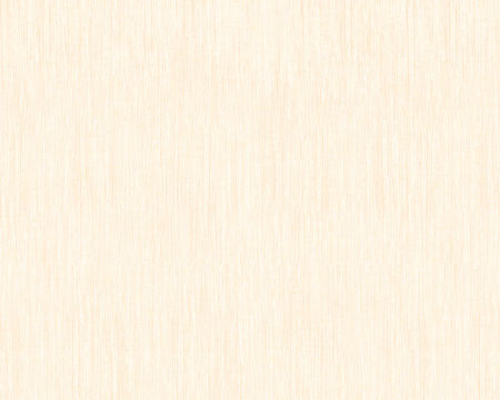 фото A.S.Creation Brigitte 2 226631