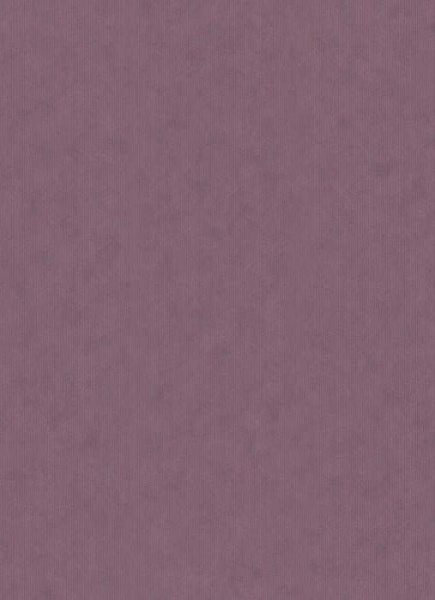 купить Erismann BasiXs 6488-45