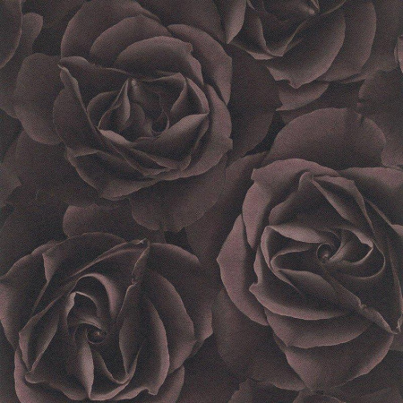 фото Rasch Crispy Paper 525618