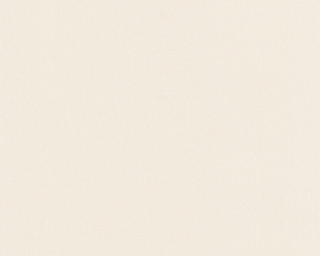 фото A.S.Creation Esprit 2 550026