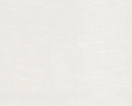 фото A.S.Creation Esprit 8 939111