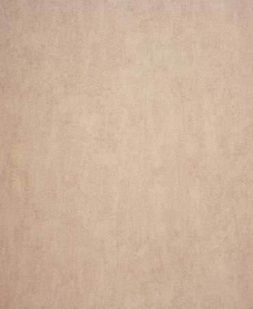 фото Casadeco Harmony 24311531_b