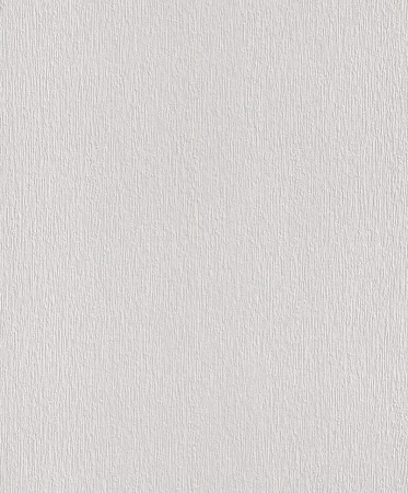 фото Rasch HOME VISION 2016 863529