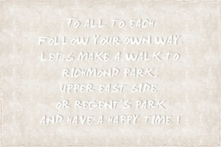 фото A.S.Creation Djooz 2 DD108524 (DD 108524)