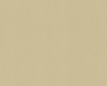 фото AS Creation Felicia 9668-10