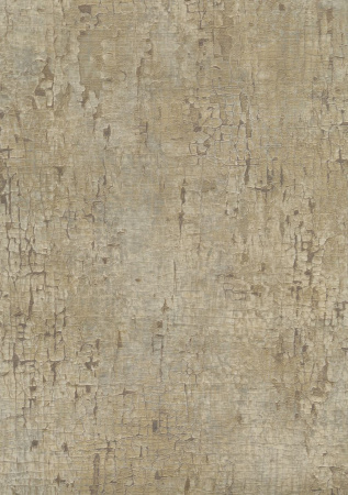 фото Emiliana Parati Future 44077