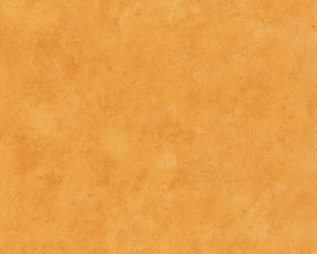 фото A.S.Creation Boys and Girls 3 758828