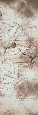 фото Emiliana Parati Future 44105-ethnic