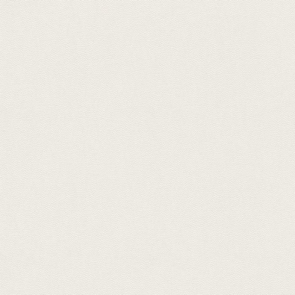 купить Rasch Cosmopolitan 576061