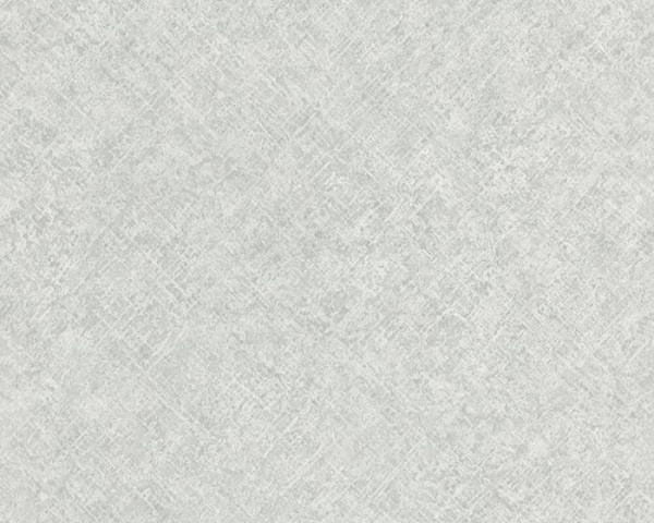 купить A.S.Creation Beton 364645