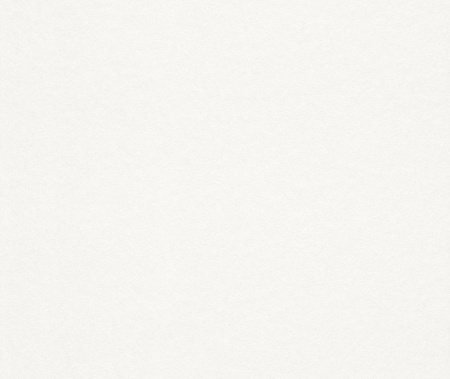 фото Rasch Wallton 2021 140200 (плотность 120 гр)