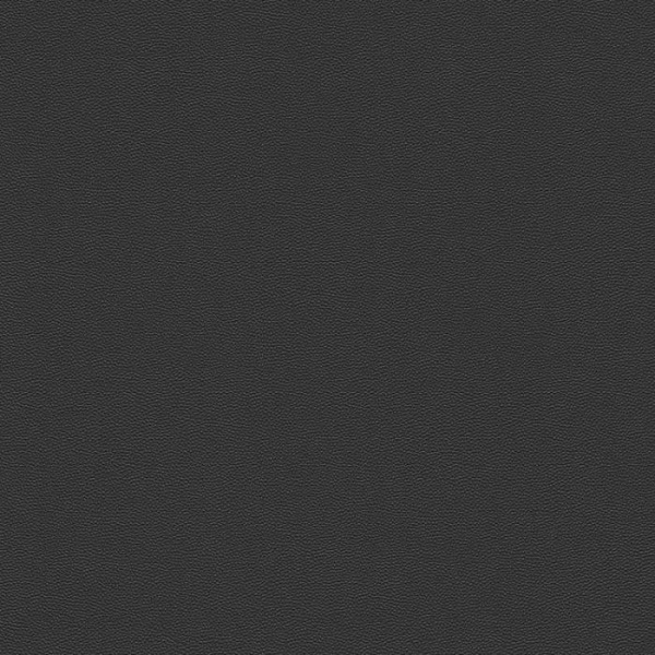 купить Rasch Cosmopolitan 576078