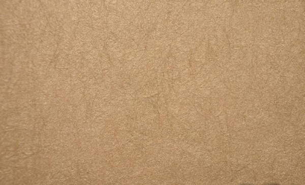 купить Rasch Gentle Divine 216003
