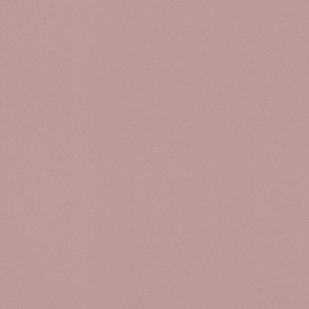 фото Rasch Gypso 610611