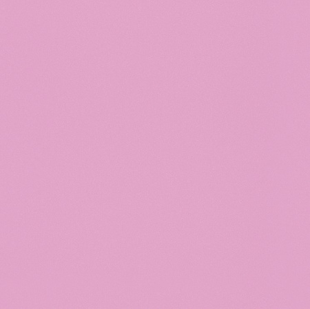 фото Rasch Kids' Club 2014 234503