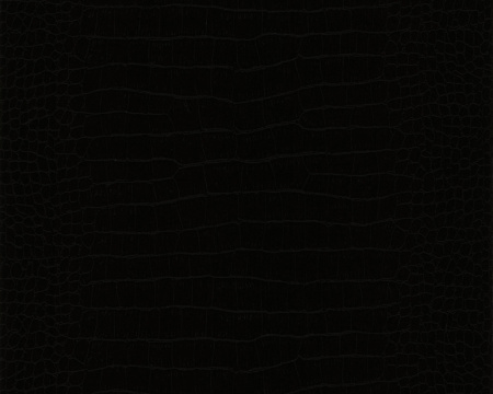 фото A.S.Creation Dekora Natur 5 146618