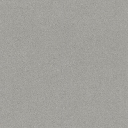 фото Rasch Passepartout 607253