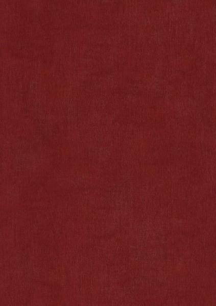 купить BN International Color Stories BN 46016