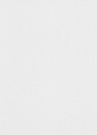 фото Erismann RollOver 5359-10 (5359-01)