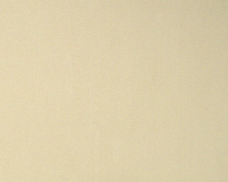 фото A.S.Creation Best of Vlies 2014 279149