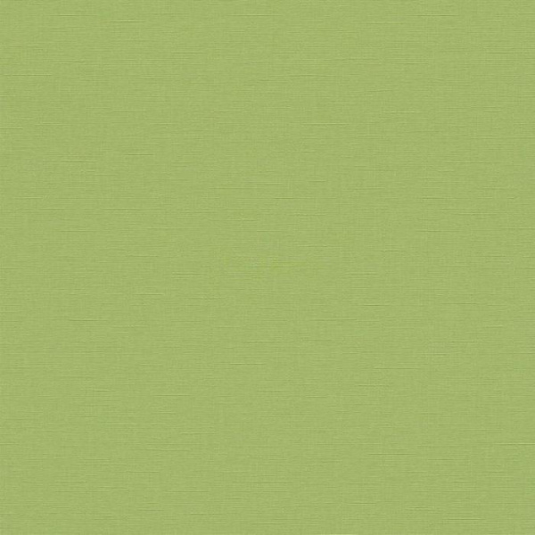 купить P+S International Collage 02505-10