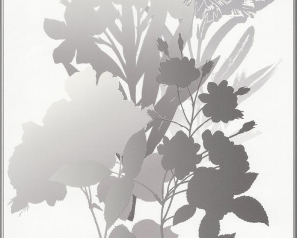 купить A.S.Creation Esprit 7 265838