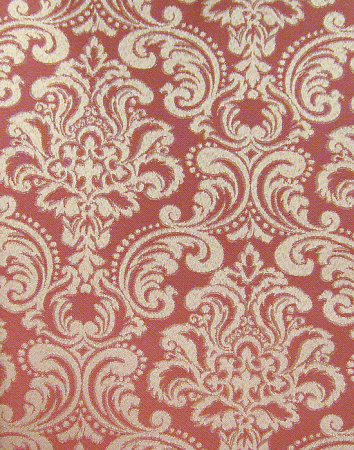 фото Calcutta Pride Pride_Pride309017