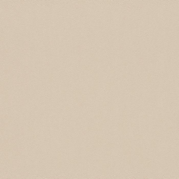 купить Rasch Cosmopolitan 576047