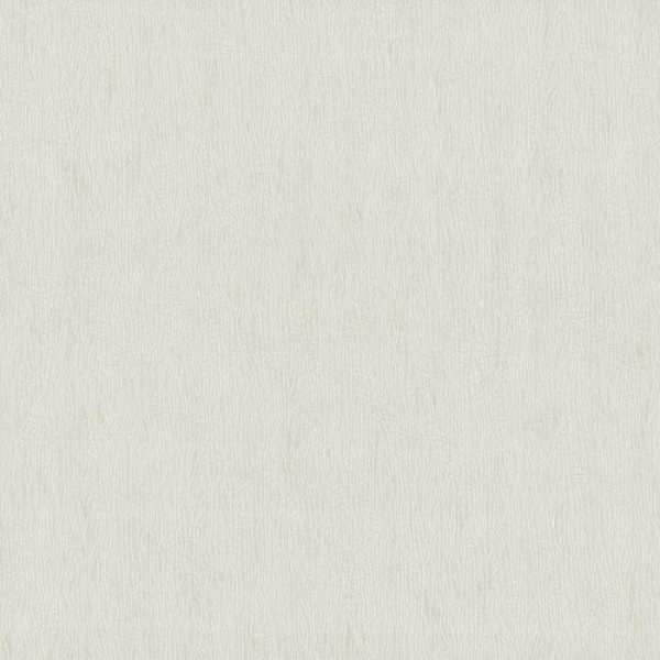 купить P+S International Intense 02256-10