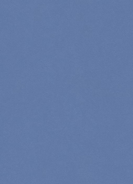 купить Erismann City Glam 5958-08