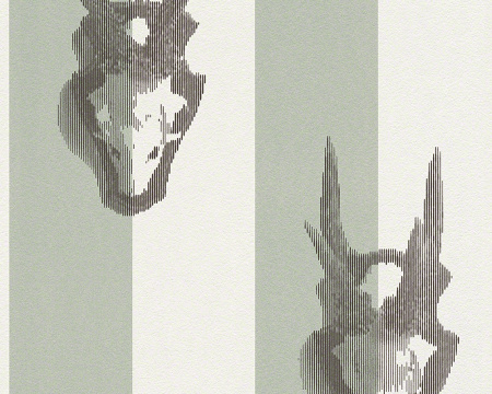 фото A.S.Creation Contzen Martrics 943961