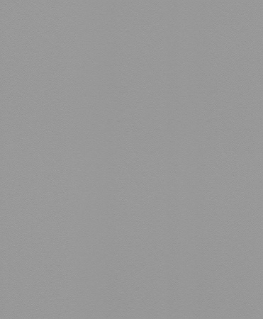 фото Rasch Modern Surfaces 2 607741