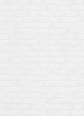 фото Erismann RollOver 5372-10 (5372-01)