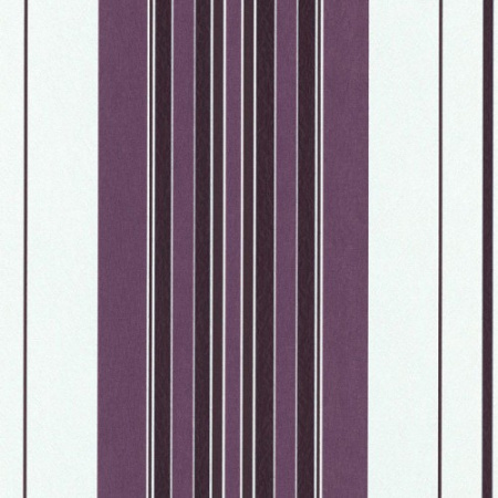 фото Erismann Grace 2014 5749-45