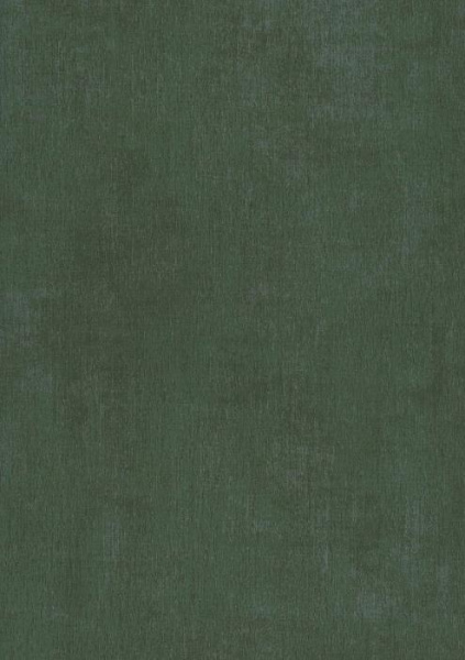 купить BN International Color Stories BN 48474
