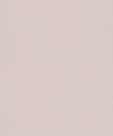 фото Rasch Naturalia 434309