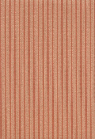 фото Calcutta Pride Pride_1