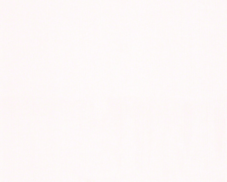 фото A.S.Creation Esprit 9 94155-1