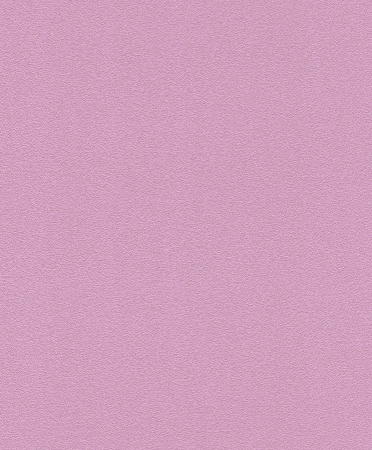 фото Rasch Unsere Besten 2014 740189