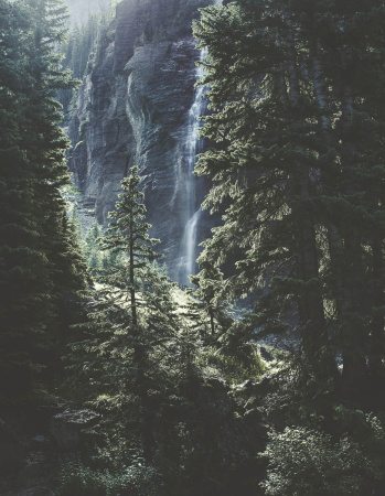 фото Rasch B.B Home passion 6 862409