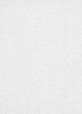 фото Erismann Robusto Vol.2 3917-01