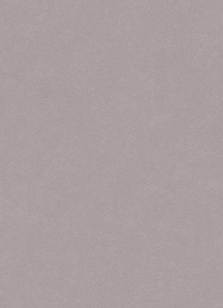купить Erismann City Glam 5958-47
