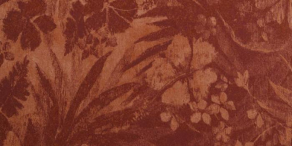 купить Hookedonwalls Tropical Chic 36004